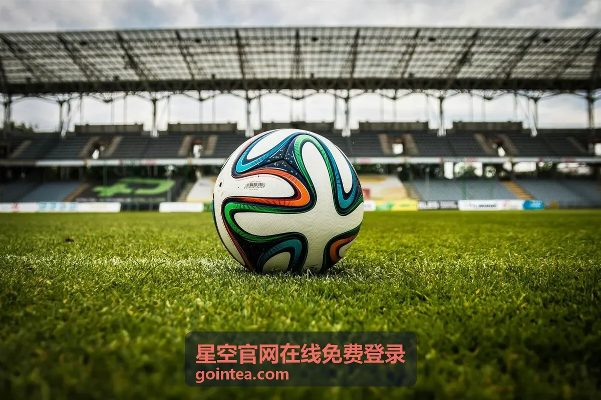 星空官网在线免费登录规则说明页面展示图